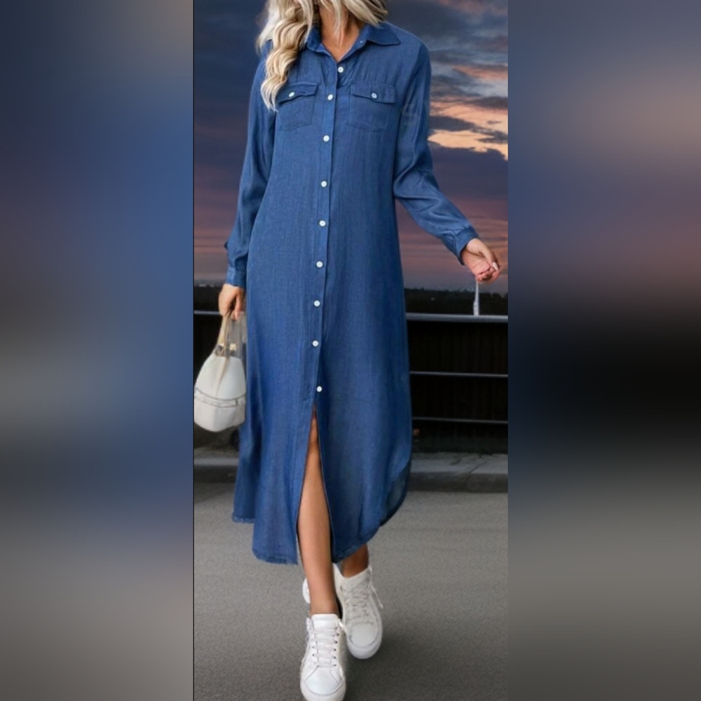 Denim Button-Down Shirt Dress Small